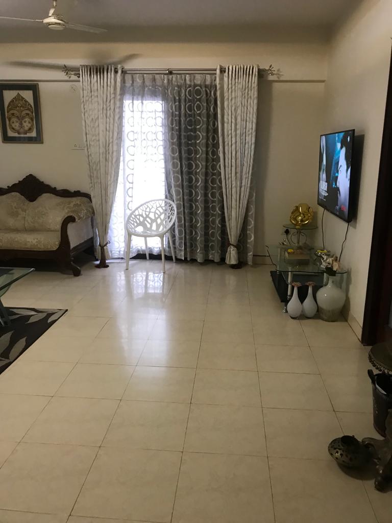 video image