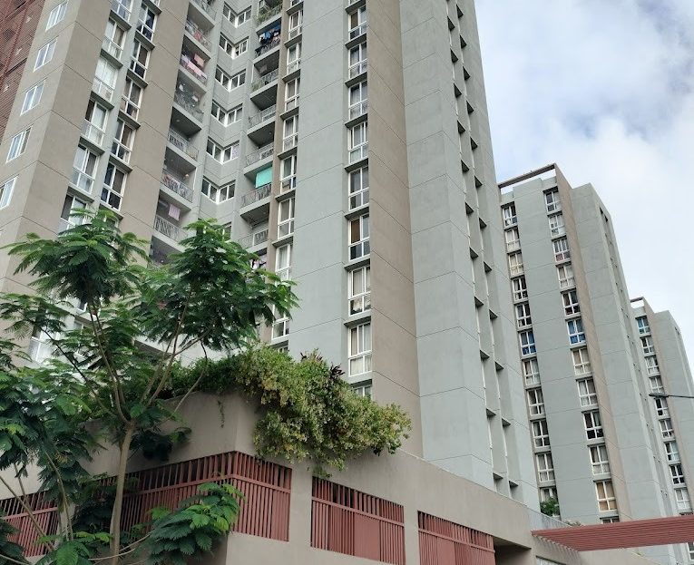 video image