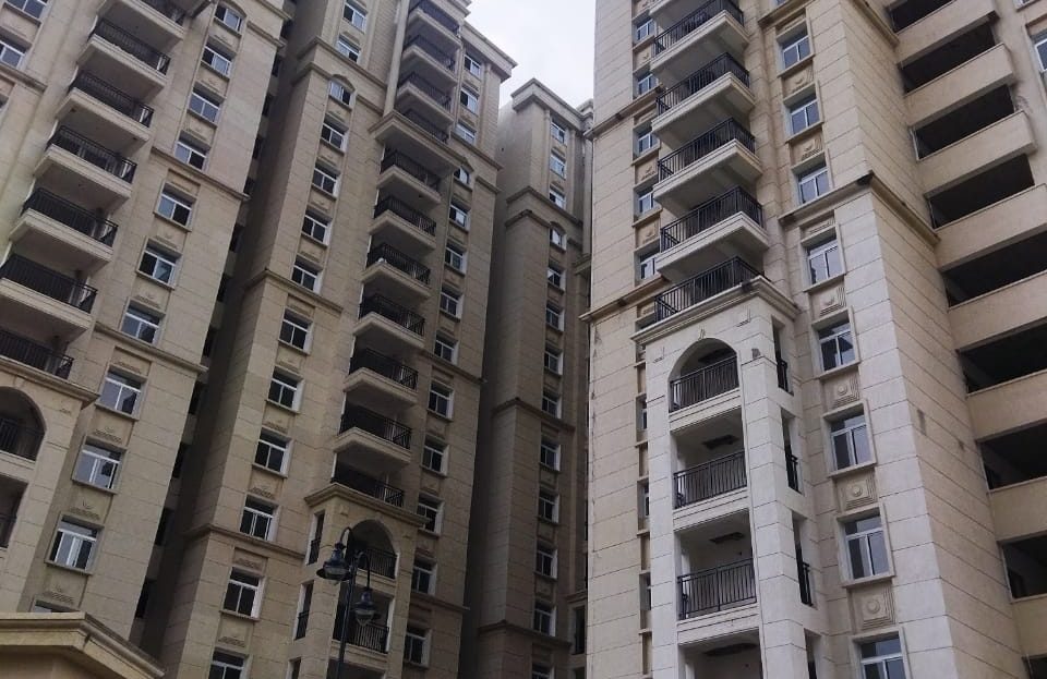 video image