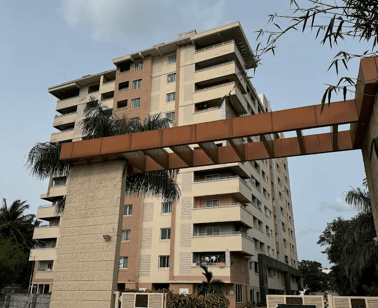video image