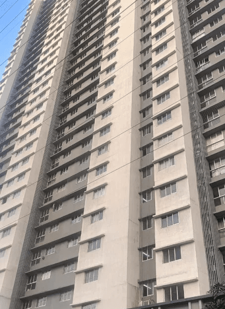video image