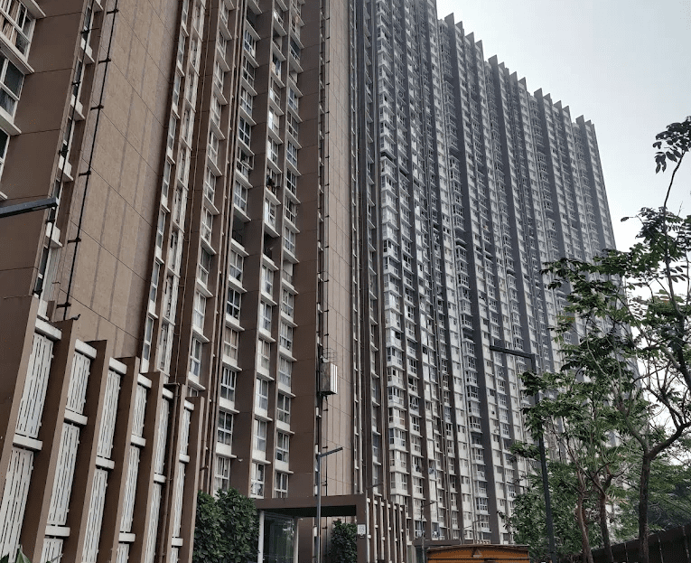 video image