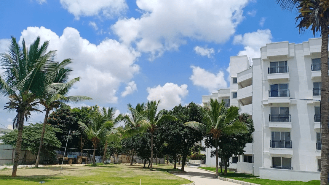 video image
