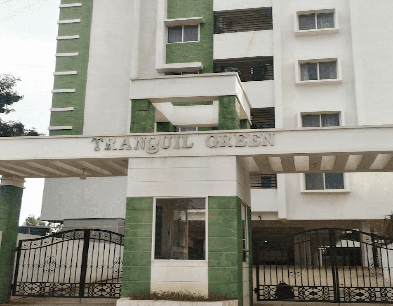 video image