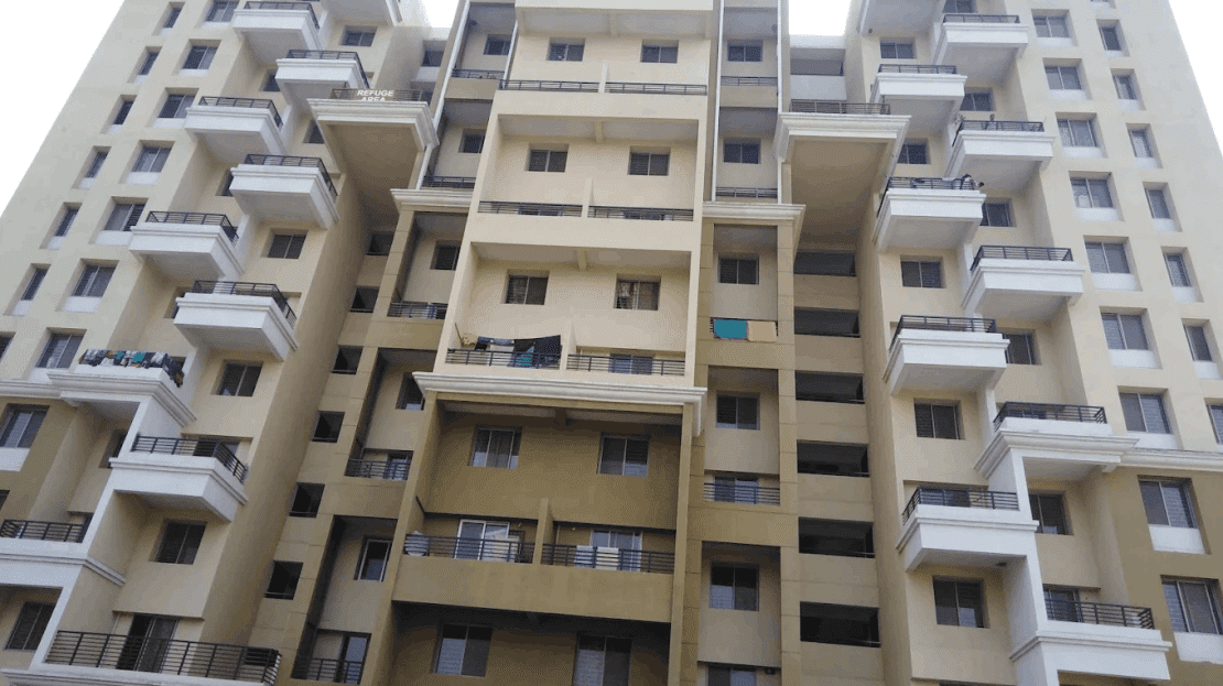video image