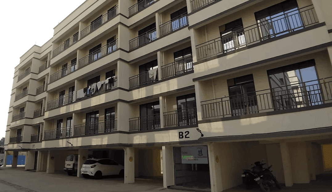 video image