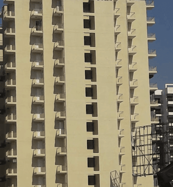 video image