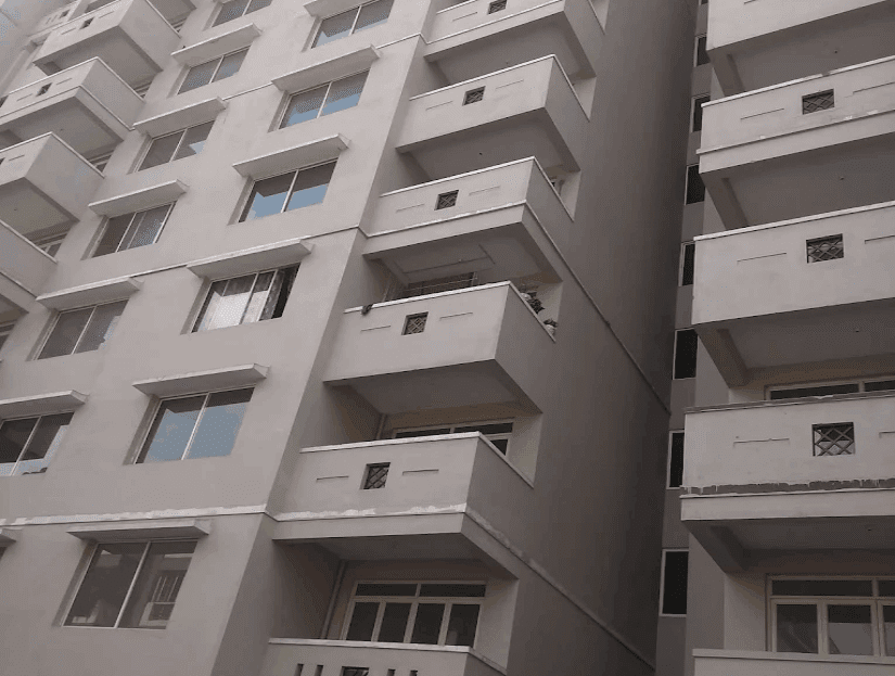video image