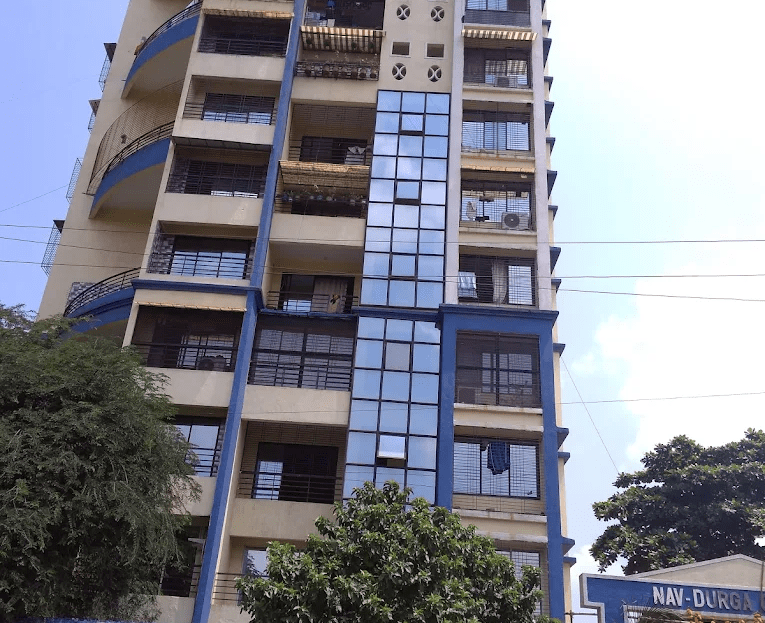 video image