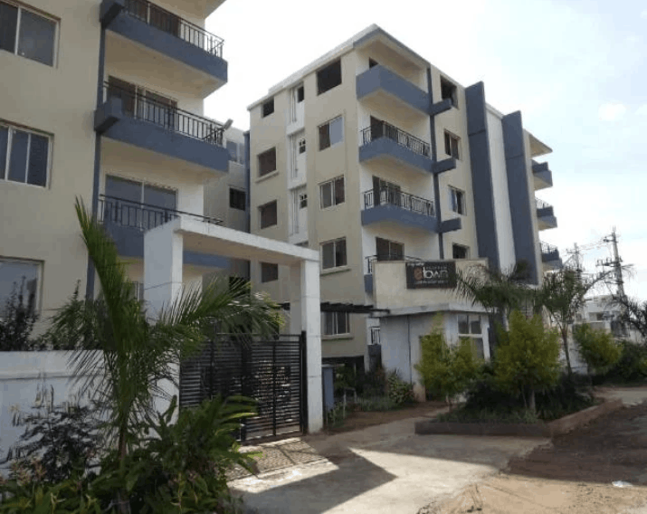 video image