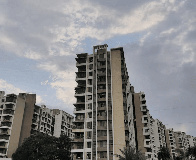 video image