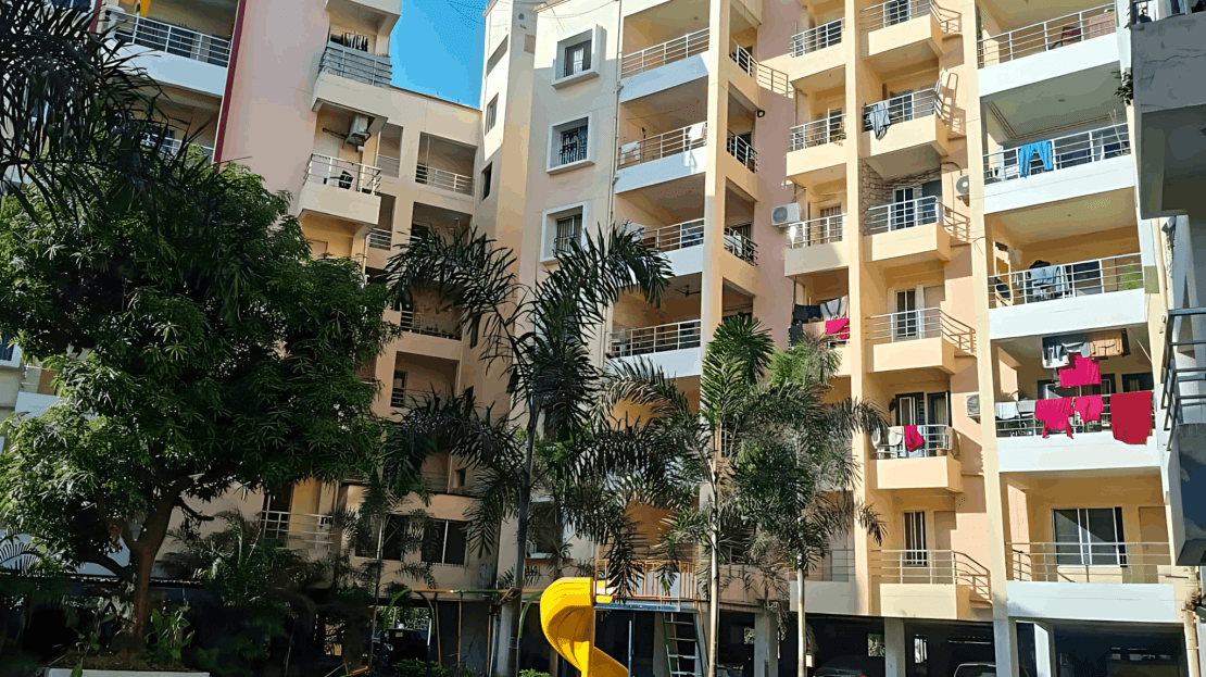 video image