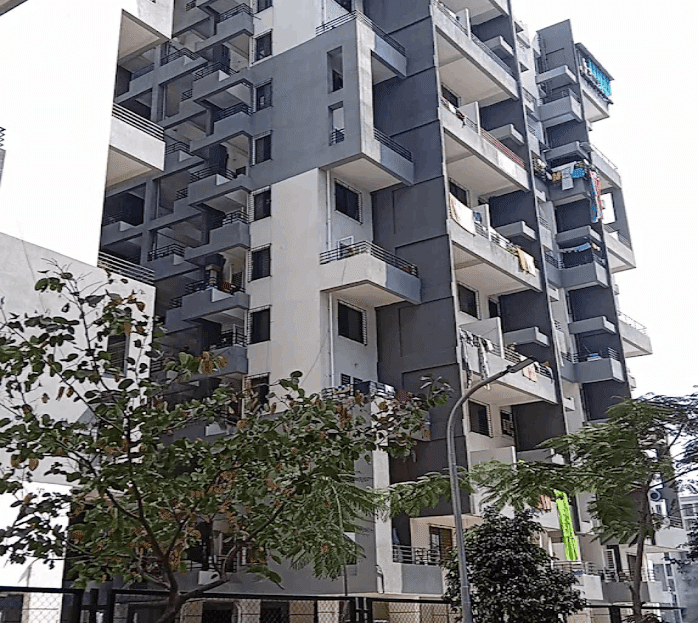 video image