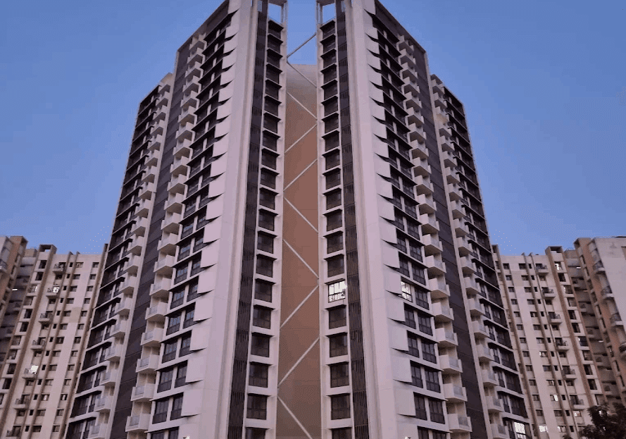 video image