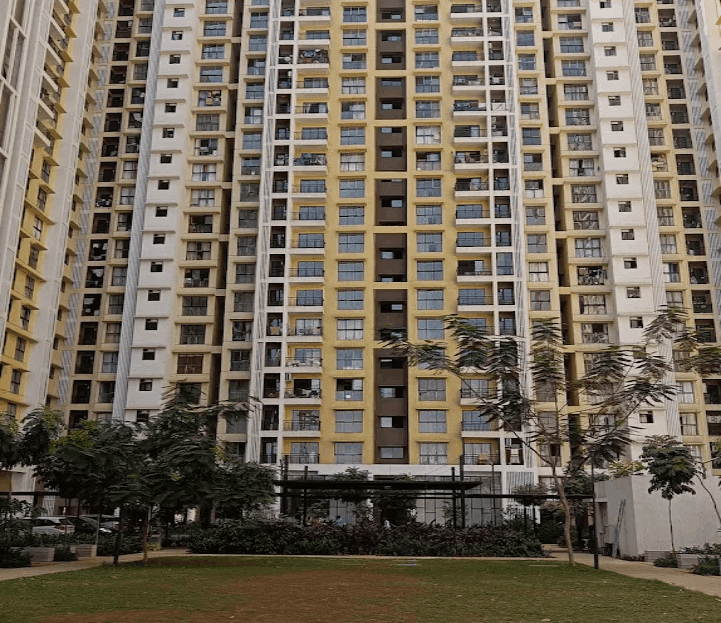 video image