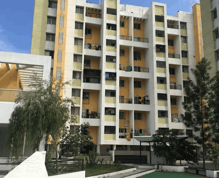 video image
