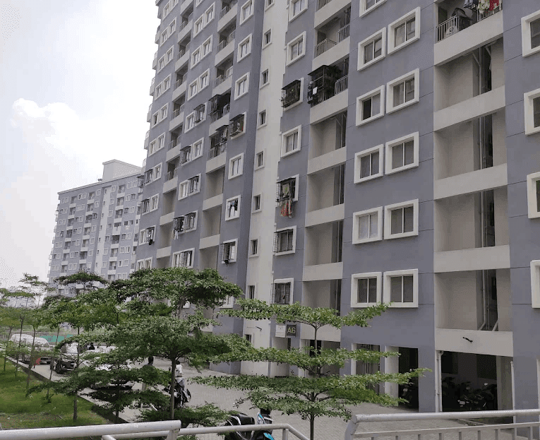 video image